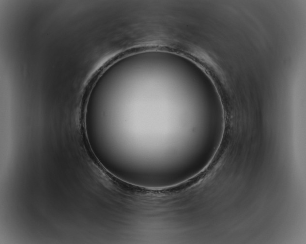 X0000088461216200705221336