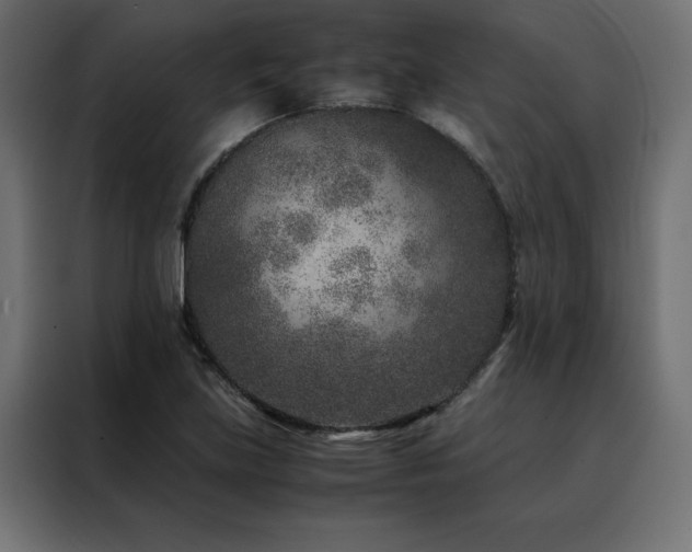 X0000088461219200705221336