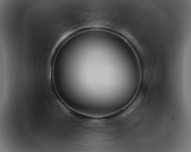 X0000088461224200705221336