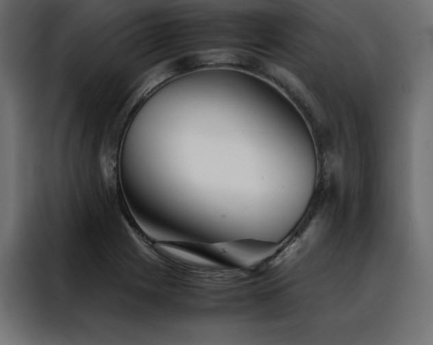 X0000088461225200705221336