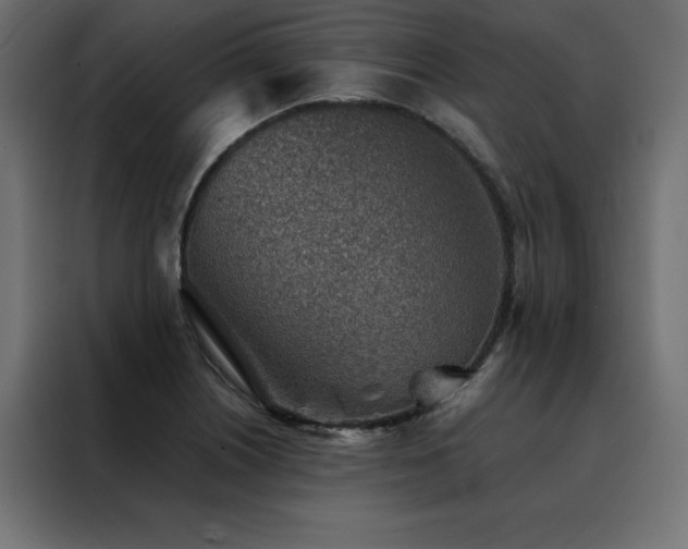 X0000088461226200705221336