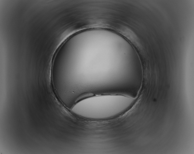 X0000088461228200705221336