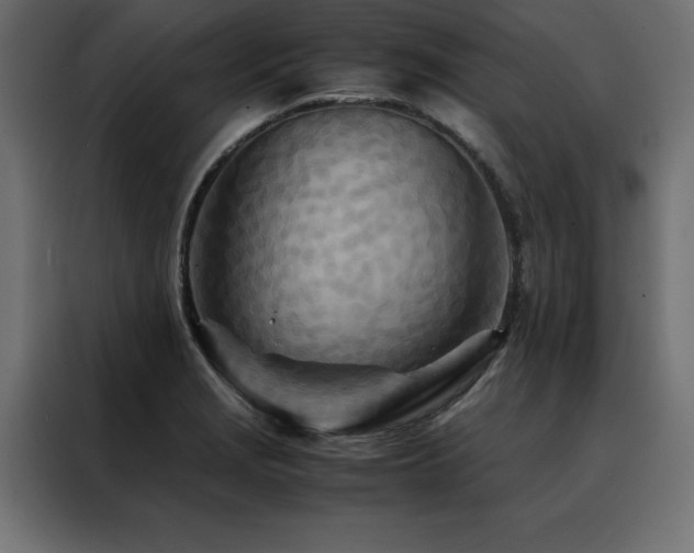 X0000088461229200705221336