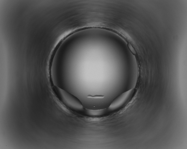 X0000088461230200705221336