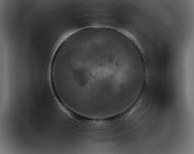 X0000088461231200705221336