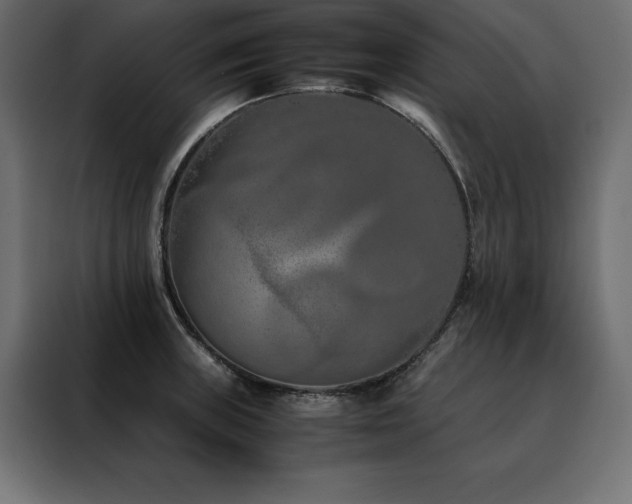 X0000088461235200705221336