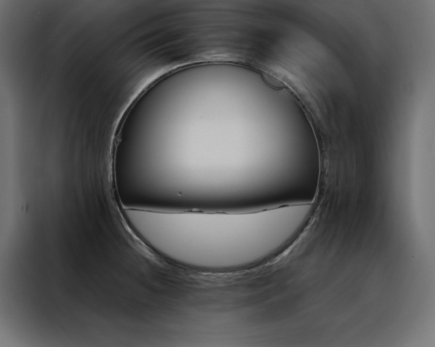 X0000088461236200705221336