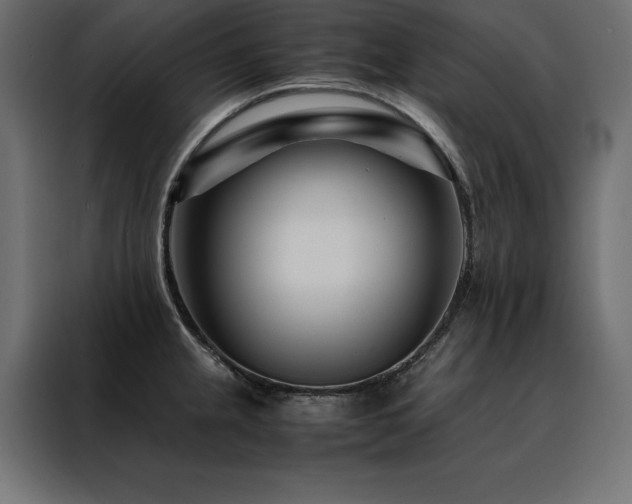 X0000088461237200705221336