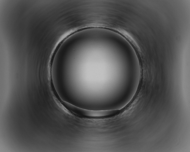 X0000088461238200705221336