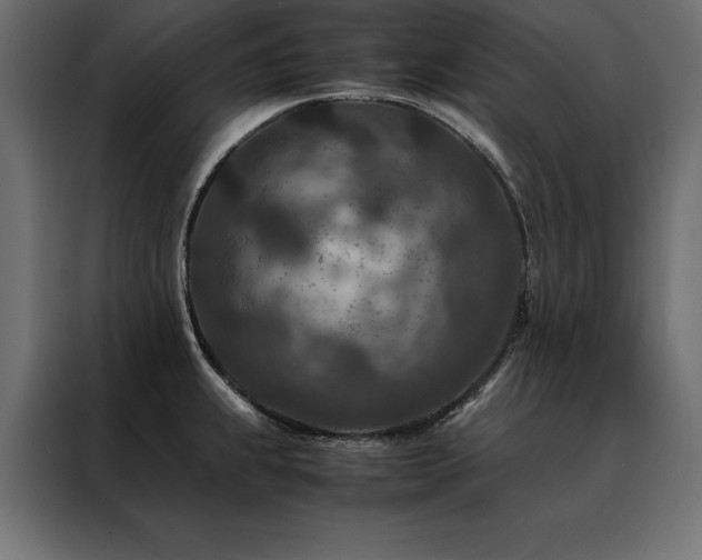 X0000088461239200705221336