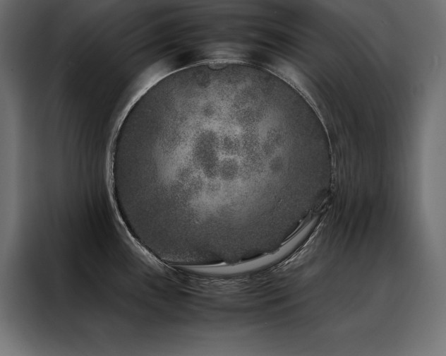 X0000088461243200705221336