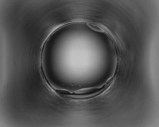 X0000088461244200705221336