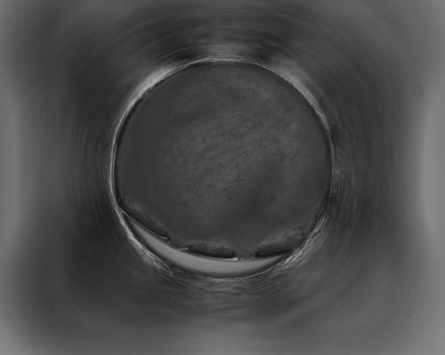 X0000088461245200705221336