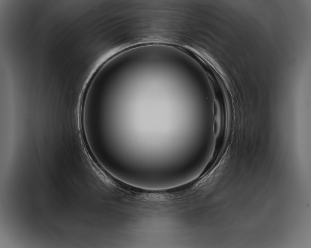 X0000088461246200705221336