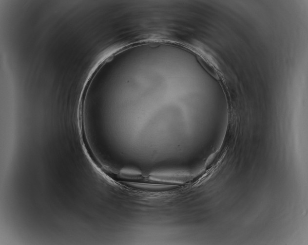 X0000088461247200705221336