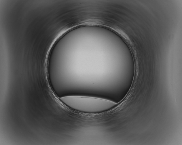 X0000088461248200705221336