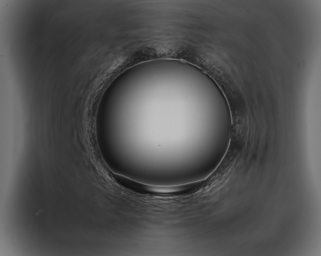 X0000088461249200705221335