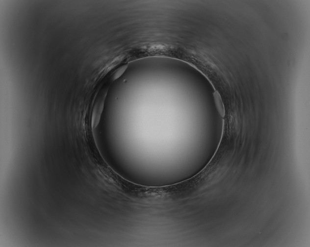 X0000088461250200705221335