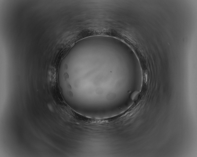 X0000088461251200705221335