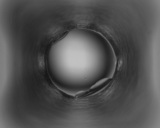 X0000088461252200705221335