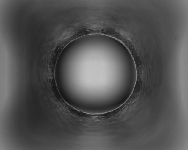 X0000088461253200705221335