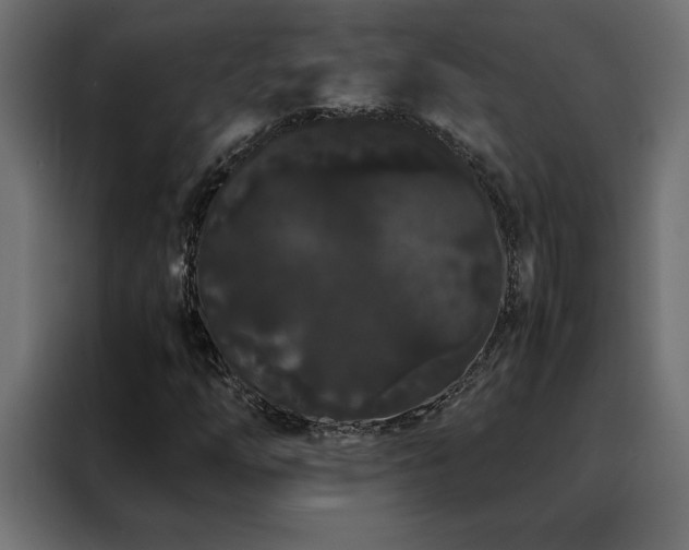 X0000088461254200705221335