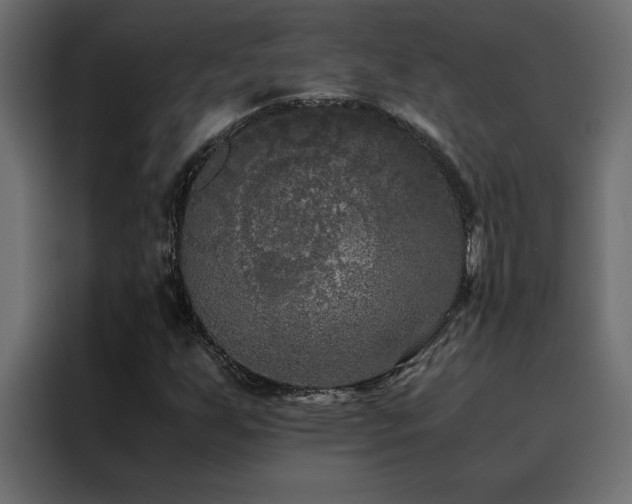 X0000088461255200705221335