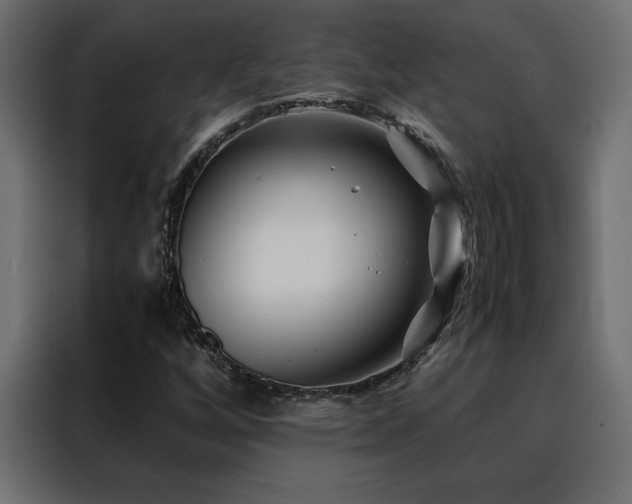 X0000088461256200705221335