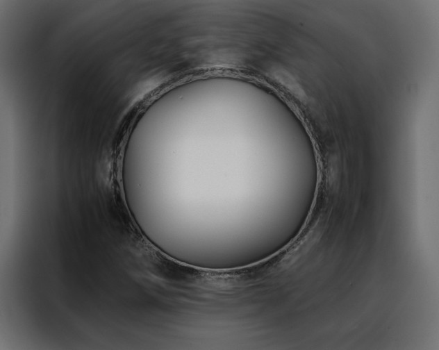 X0000088461258200705221335