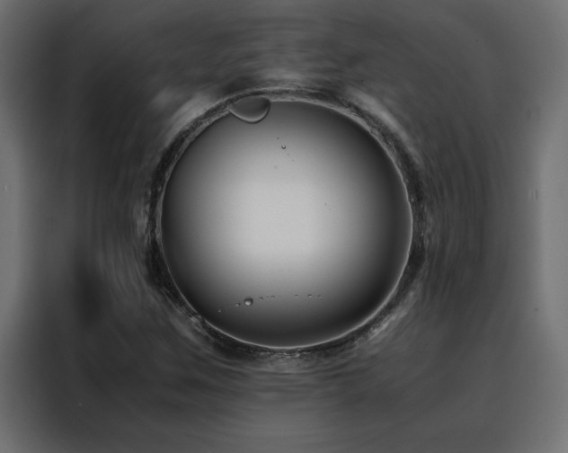 X0000088461259200705221335