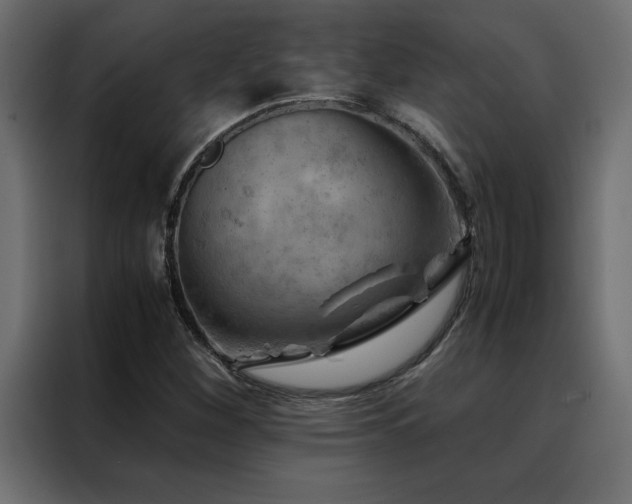 X0000088461260200705221335