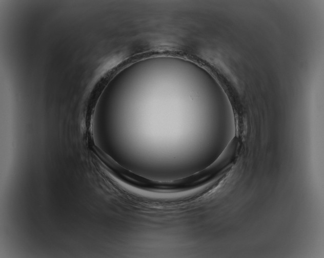 X0000088461261200705221335