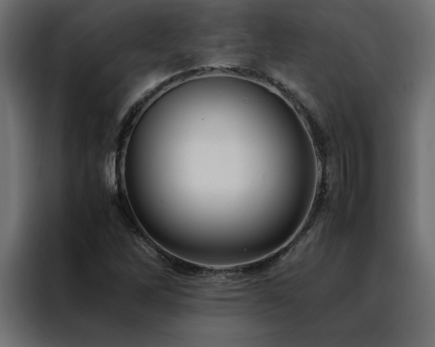 X0000088461262200705221335