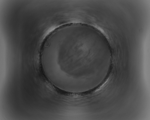 X0000088461263200705221335