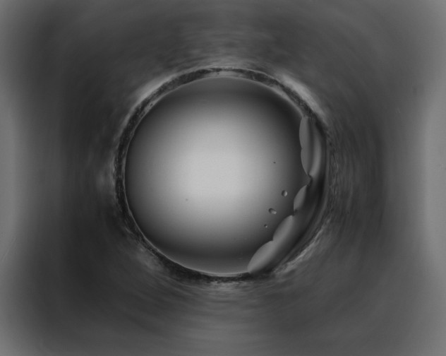 X0000088461264200705221335
