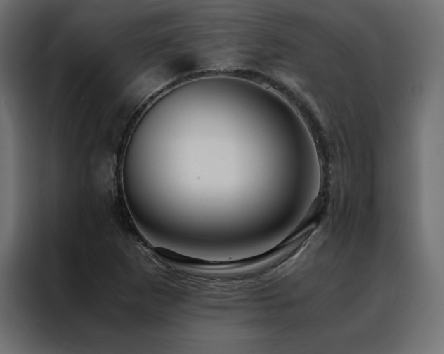 X0000088461265200705221335