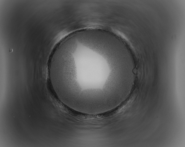 X0000088461267200705221335