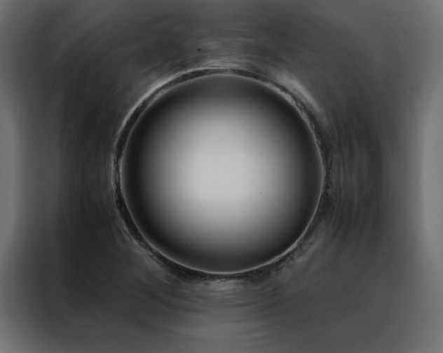 X0000088461268200705221335