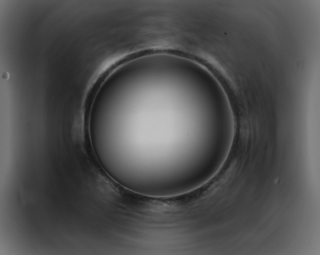 X0000088461270200705221335