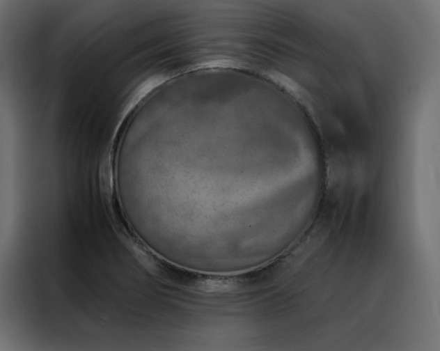 X0000088461274200705221335