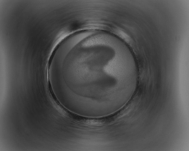 X0000088461275200705221335