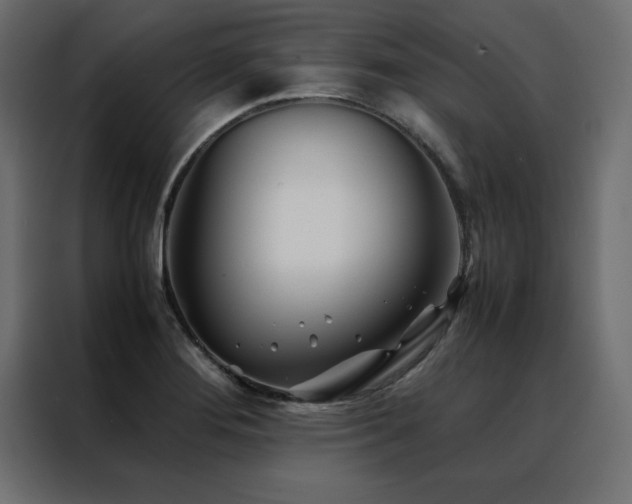 X0000088461276200705221335