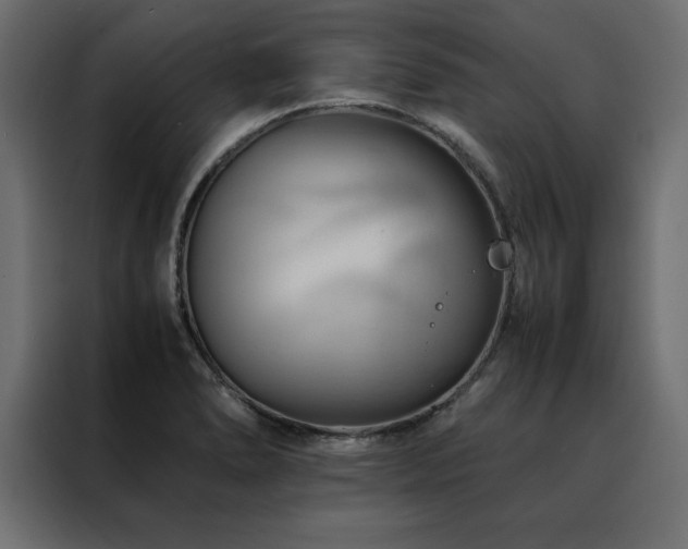 X0000088461278200705221335
