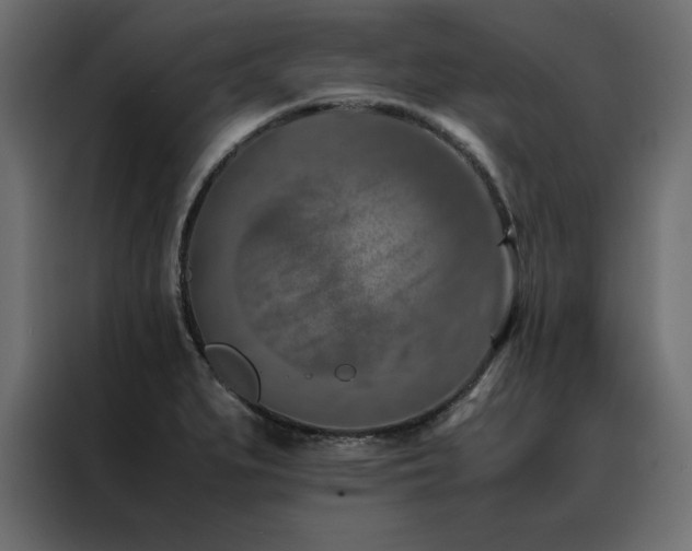 X0000088461279200705221335