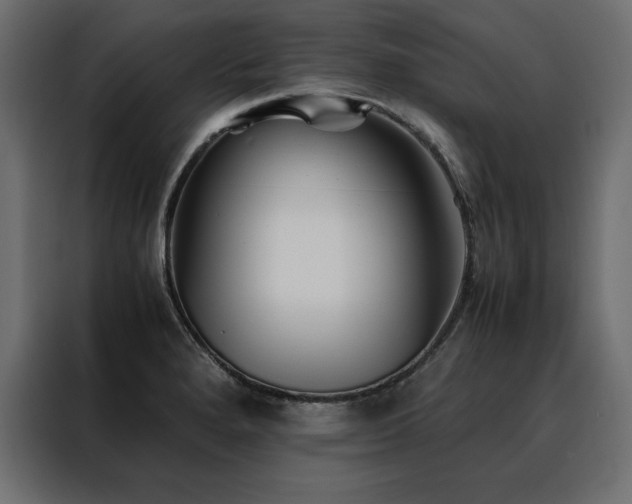 X0000088461280200705221335