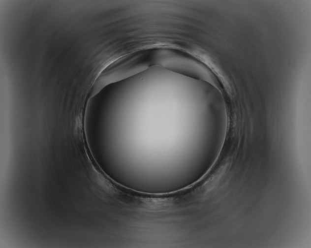 X0000088461281200705221335