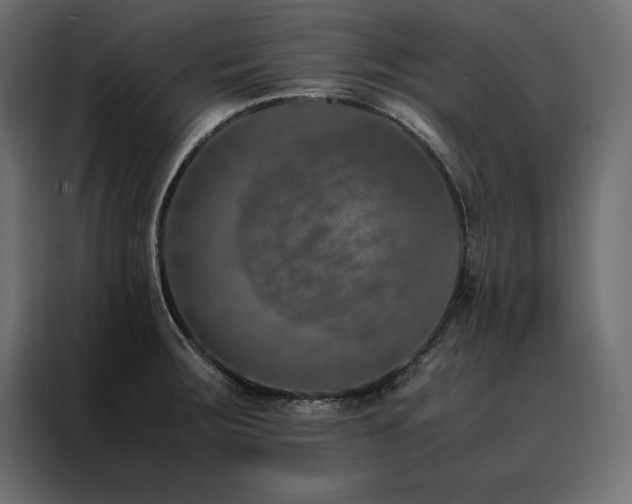 X0000088461283200705221335