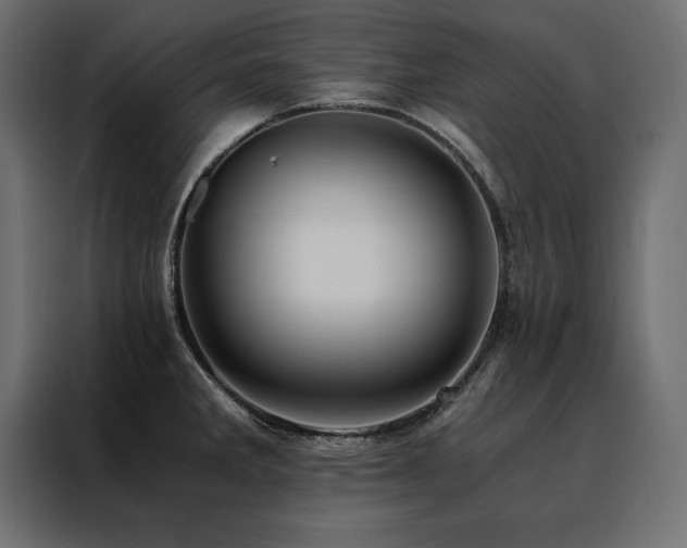 X0000088461285200705221335
