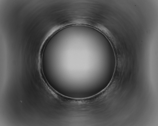 X0000088461286200705221335