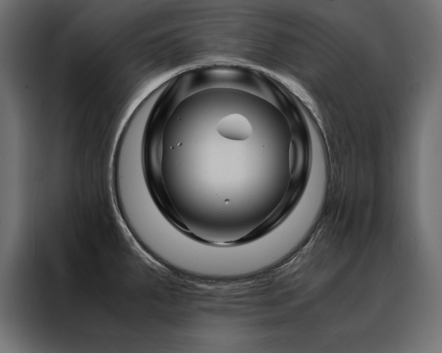 X0000088461287200705221335
